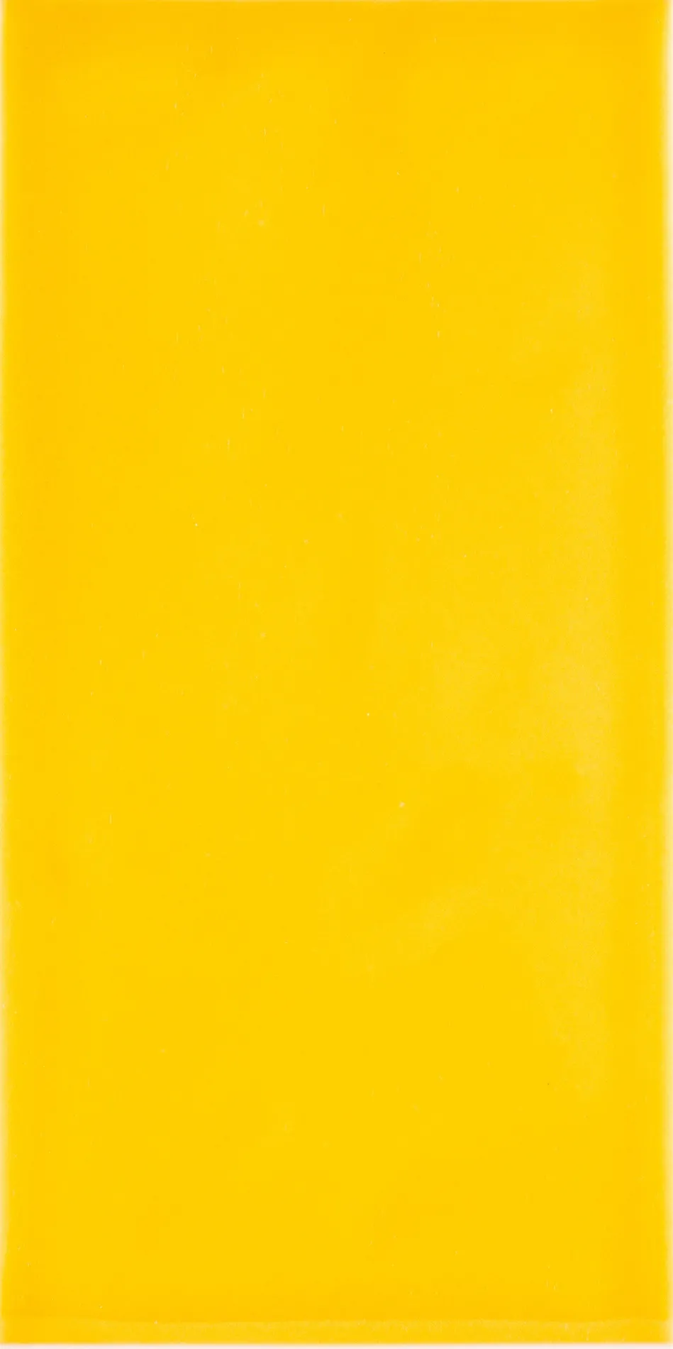 <h3>AMARELO</h3><small>Colections and Tiles, Aires Mateus</small>