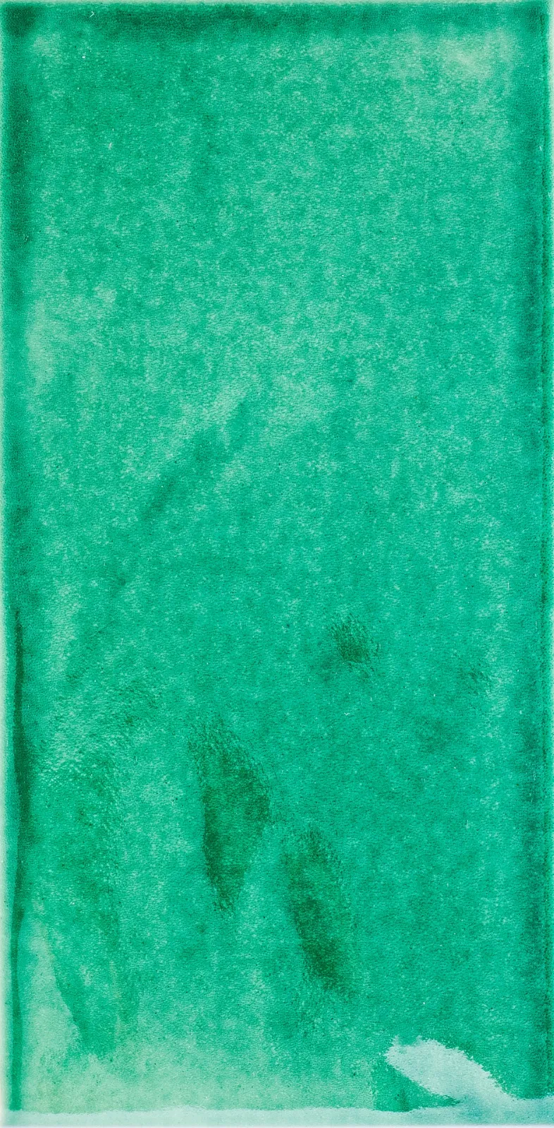 <h3>VERDE CLARO</h3><small>Colections and Tiles, Aires Mateus</small>