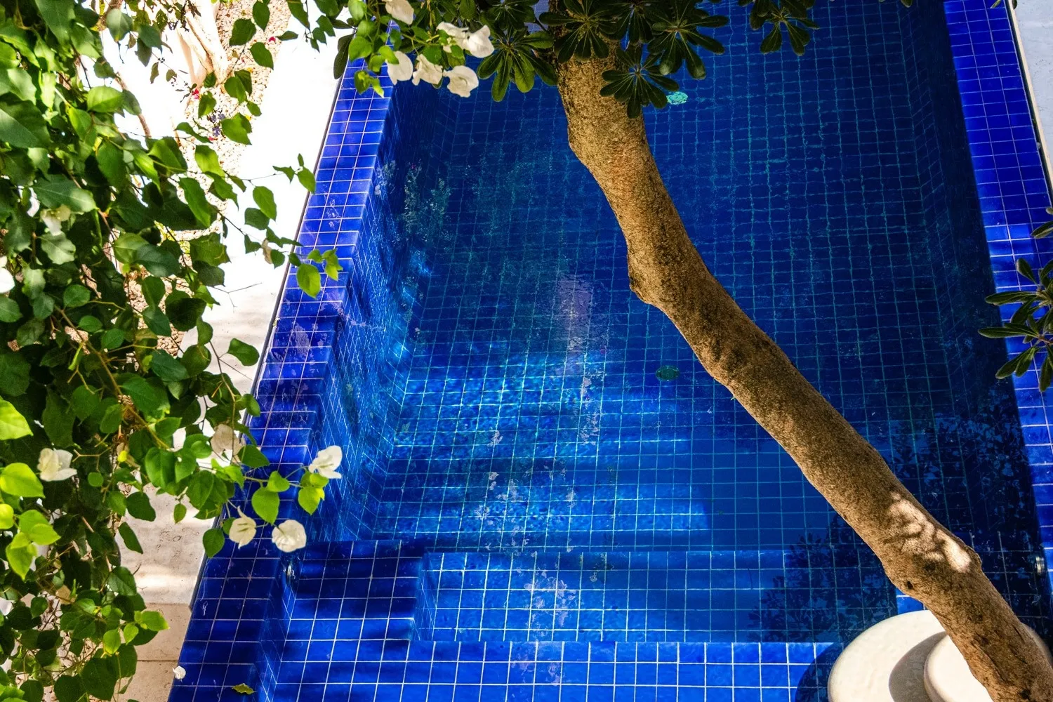 Private House Swimming Pool