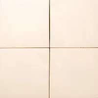 BRANCO T10
