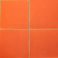LARANJA T5