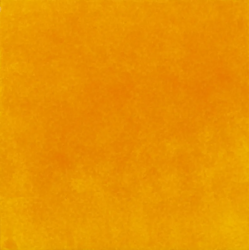 AEEL AMARELO 136 AMARELO 14x14