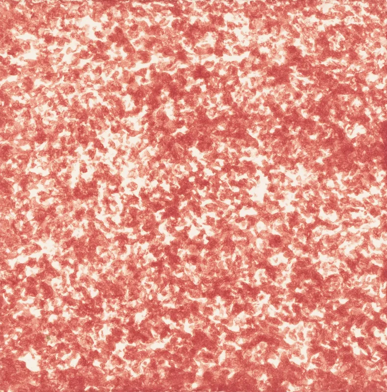 AEL ROSA 32 ROSA 14x14