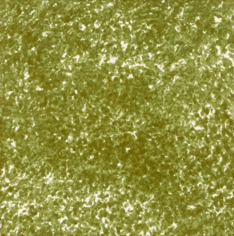 AEL VERDE 51 VERDE 14x14